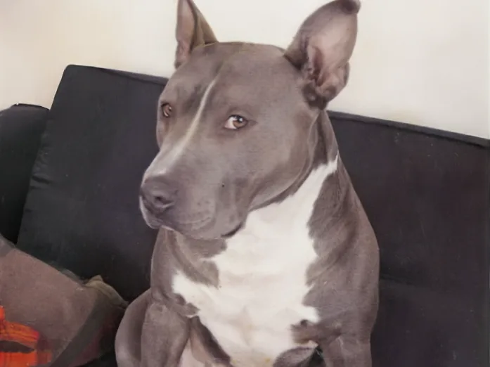 Restored photo — color corrected and enhanced