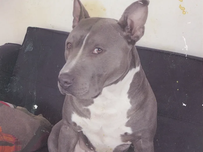 Original faded photo scan before restoration