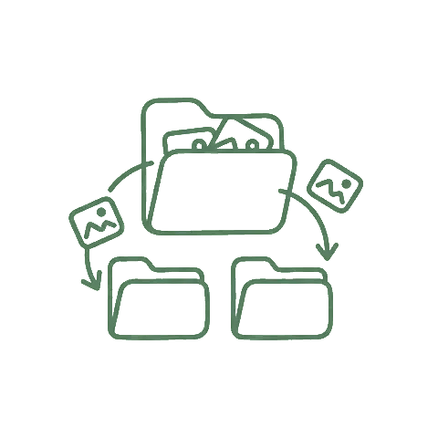 Photos being organized into folders